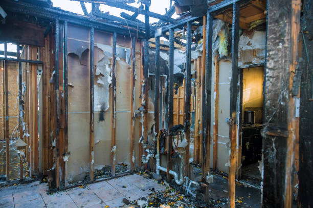 Professional Odor Removal technician working in Battle Ground, IN